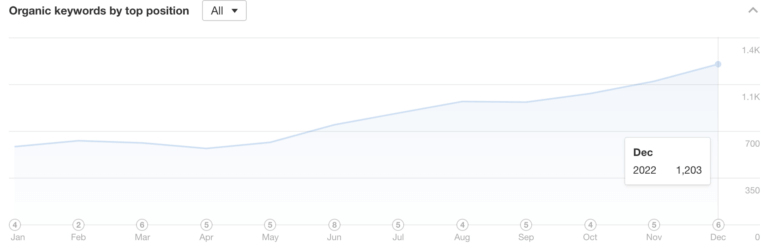 Összes organikus pozícióban rangsoroló kulcsszó 2022-ben - borindex.hu